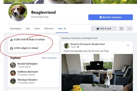 Positieve ervaring Facebook Beagle Geheimen