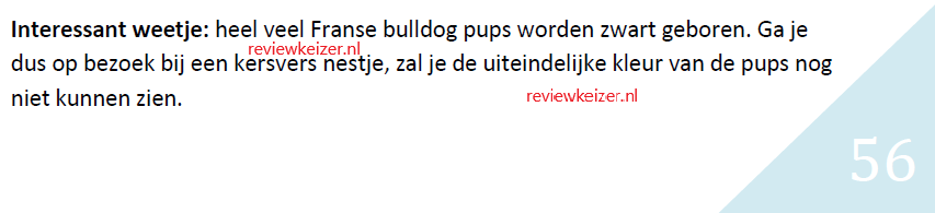 Tip uit het e-book Het Complete Handboek Voor De Franse Bulldog
